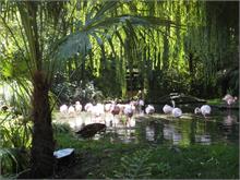 2010_08_047_Zoo Amneville